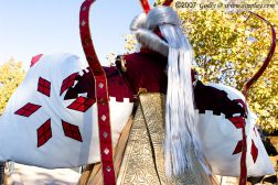 amaterasu2_12